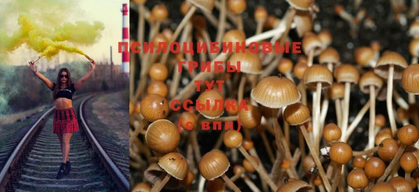 меф Армянск